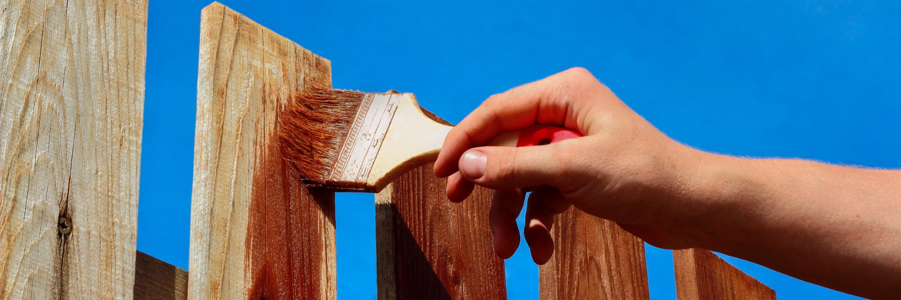 Fence & Shed Paint