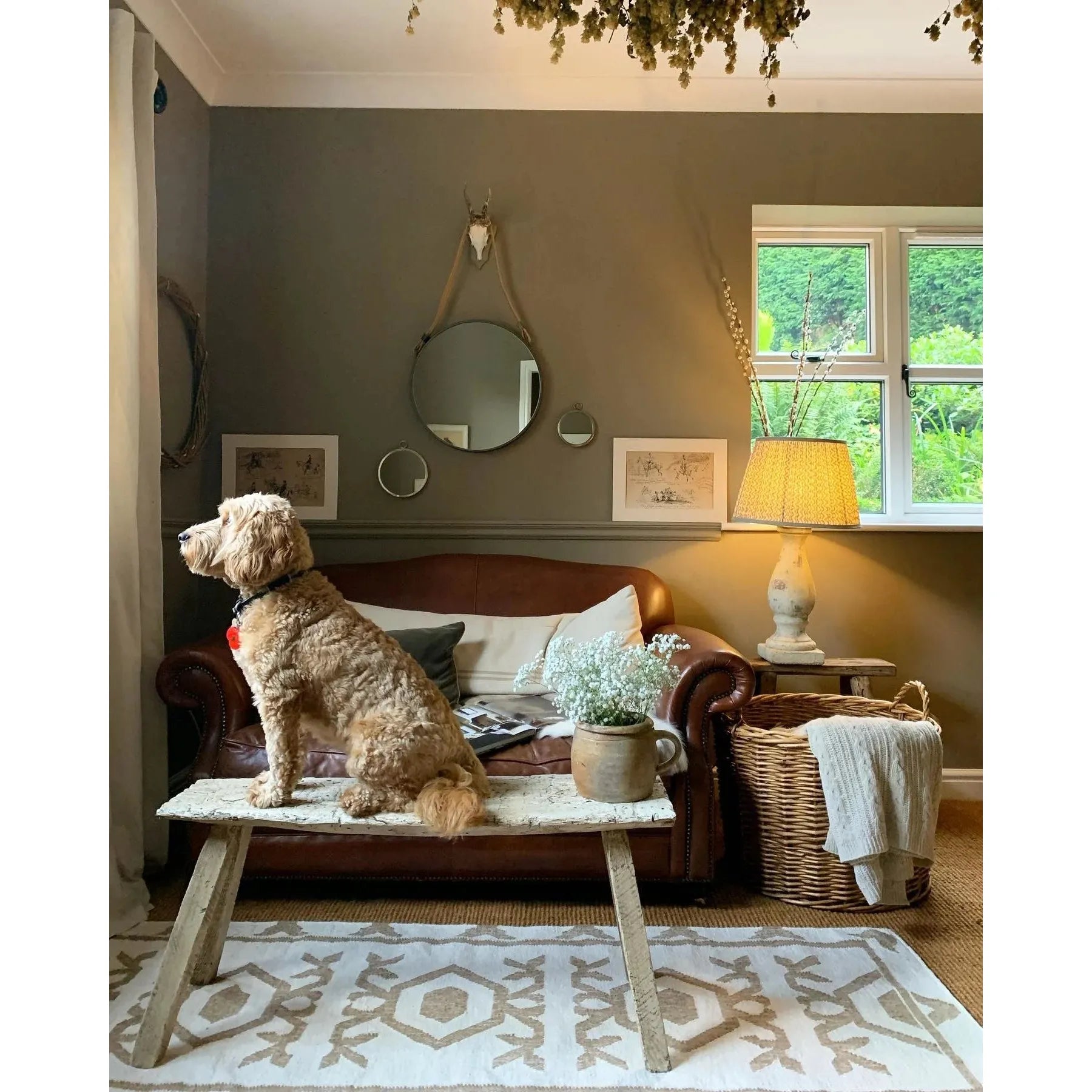 Farrow & Ball Mouse's Back Paint 40