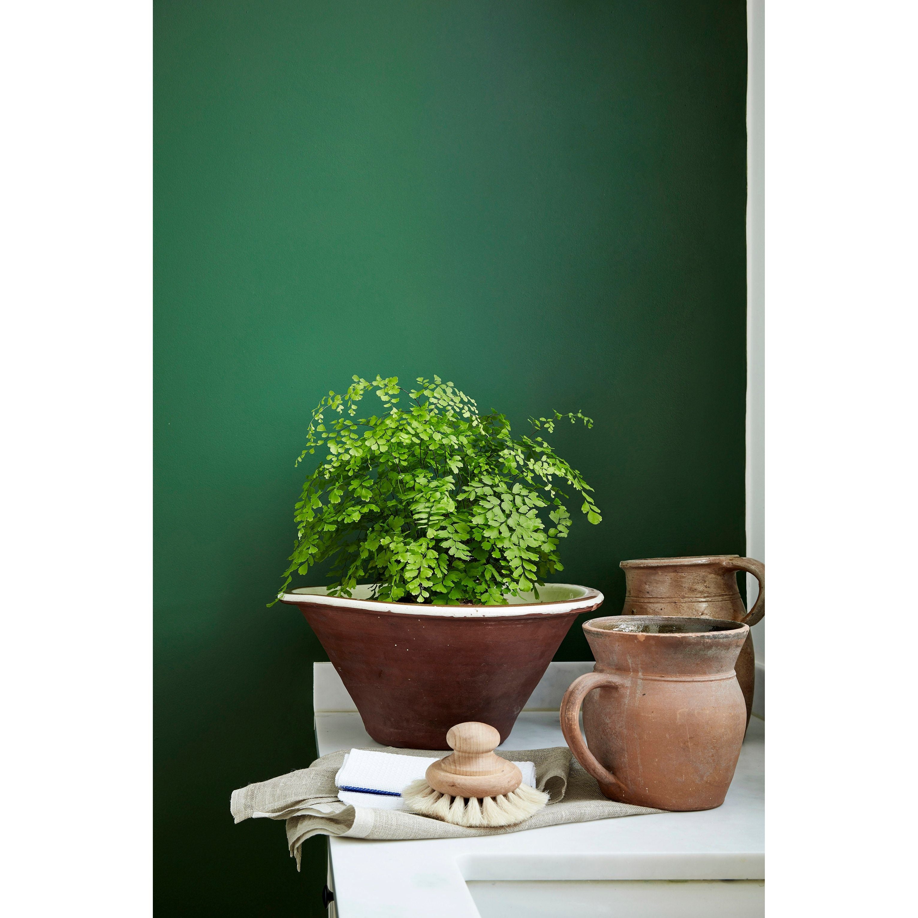 Little Greene Dark Brunswick Green Paint 088