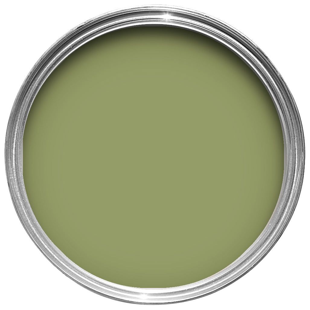 Farrow & Ball Olive Paint 13