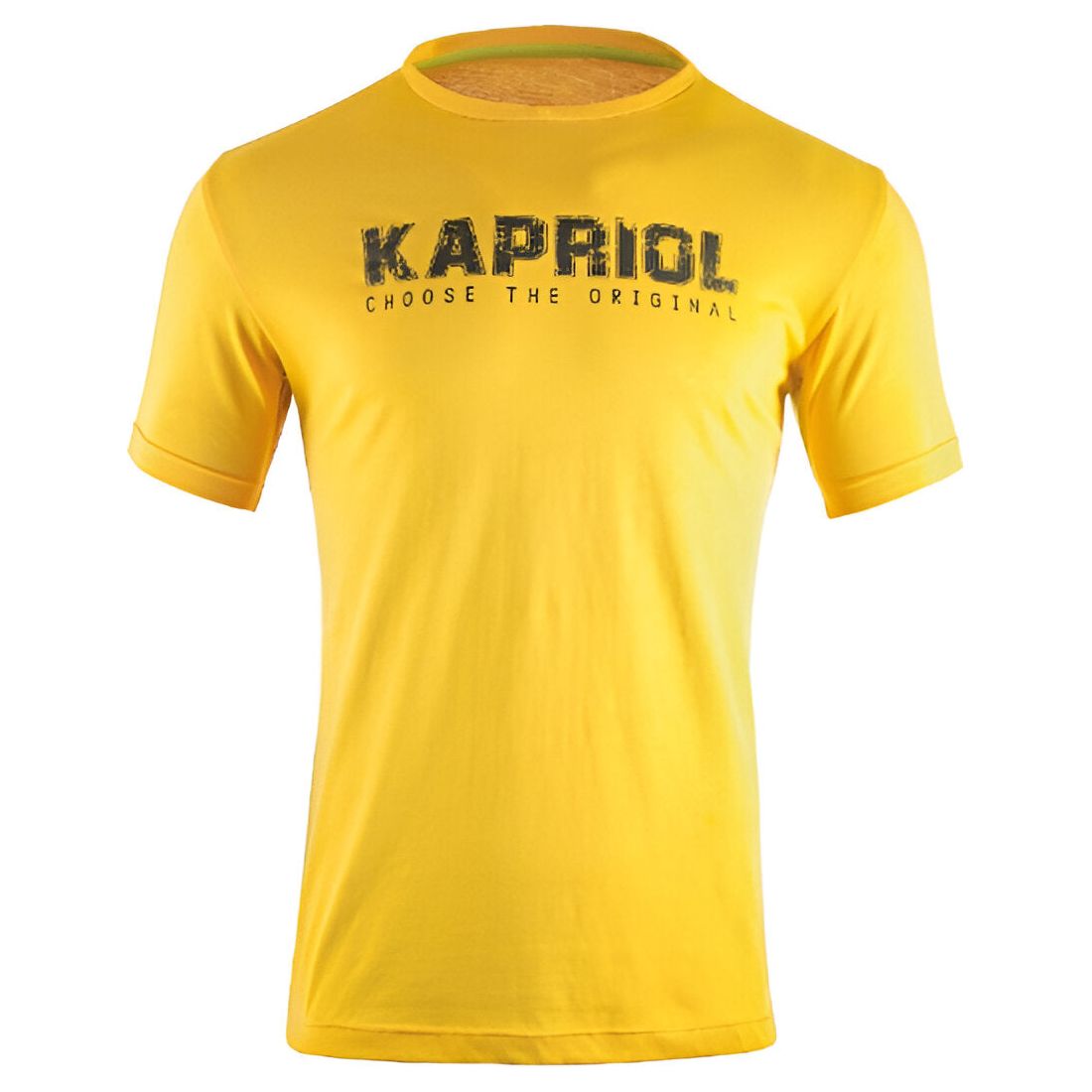 Kapriol 6203 Summer Shorts Kit