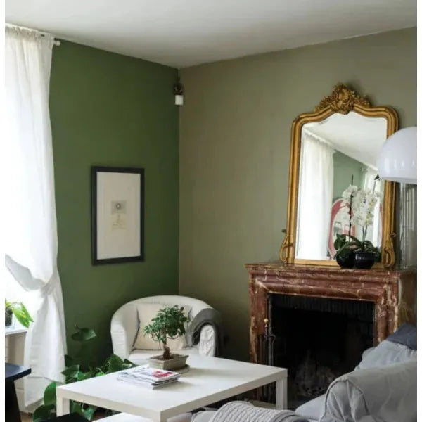 Farrow & Ball Lichen Paint 19