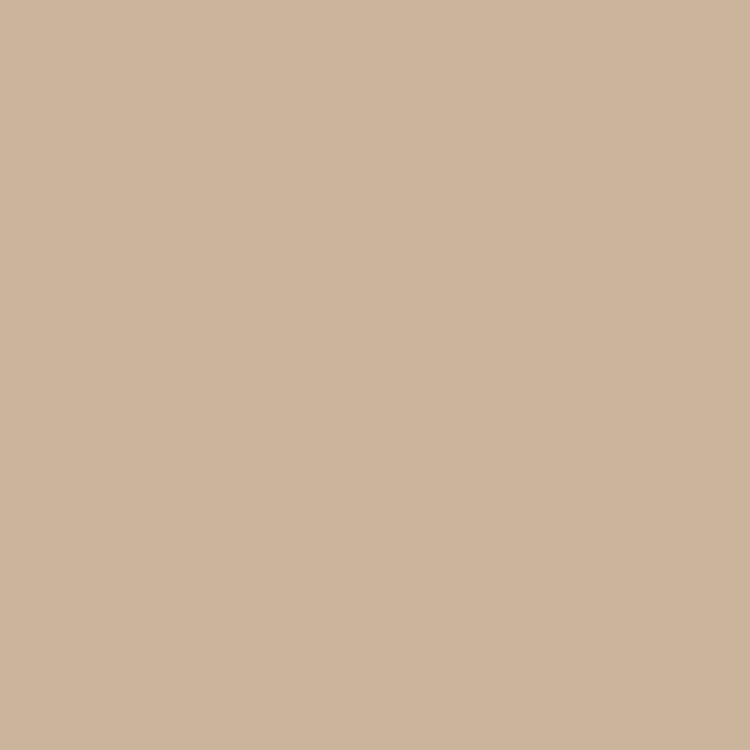 Little Greene Lute Paint 317