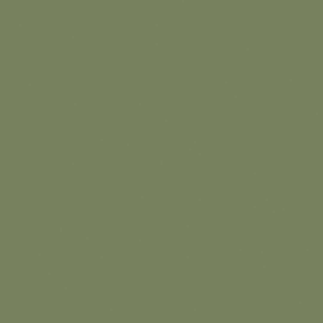 Little Greene Sage Green Paint 80