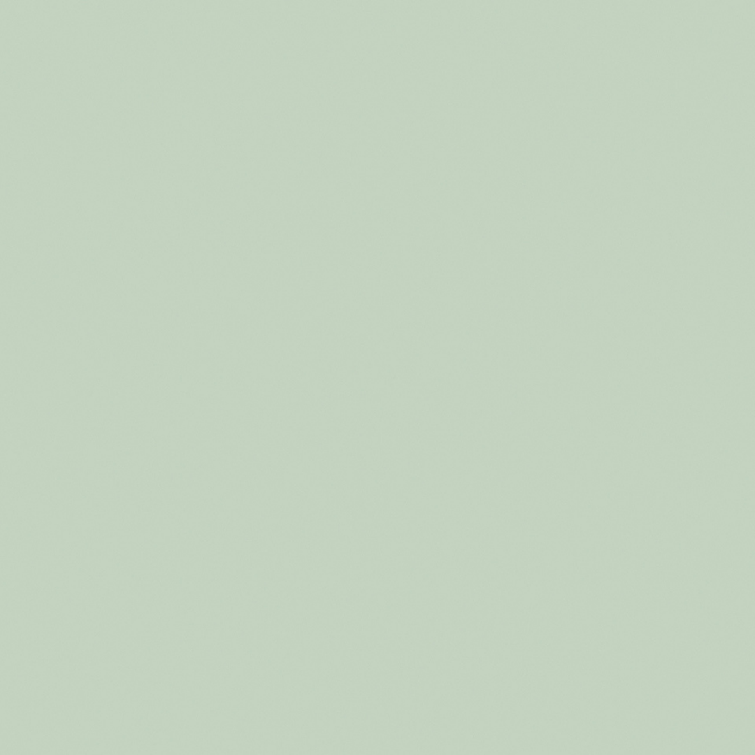 Little Greene Salix Paint 099