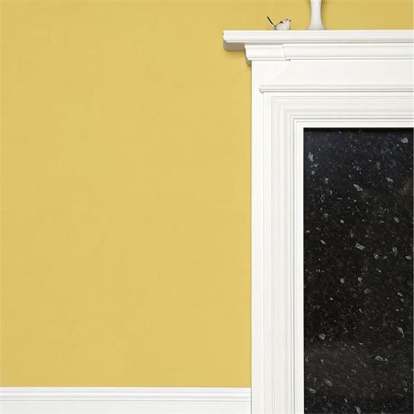 Farrow & Ball Yellow Ground Paint 218