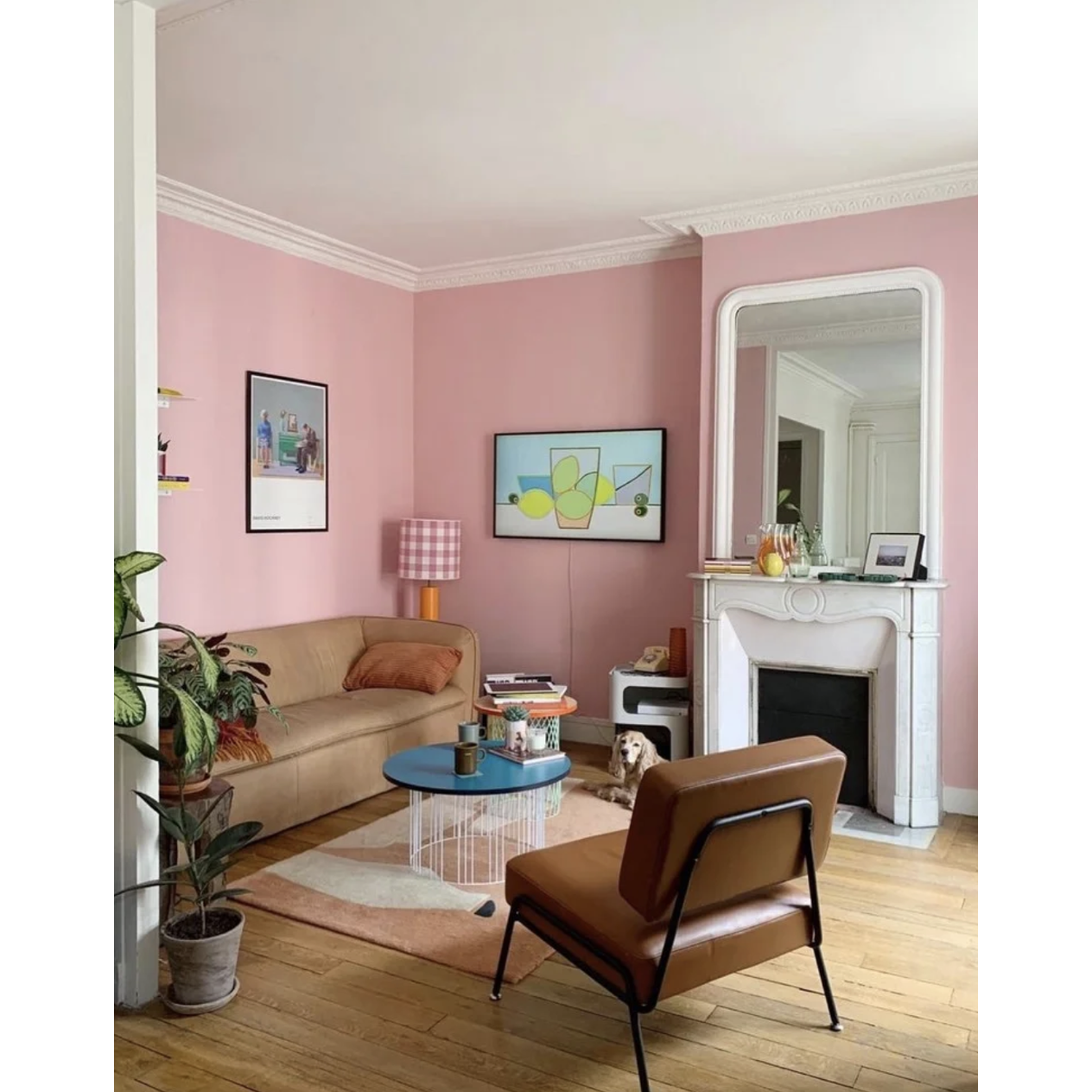 Farrow & Ball Nancy’s Blushes Paint 278