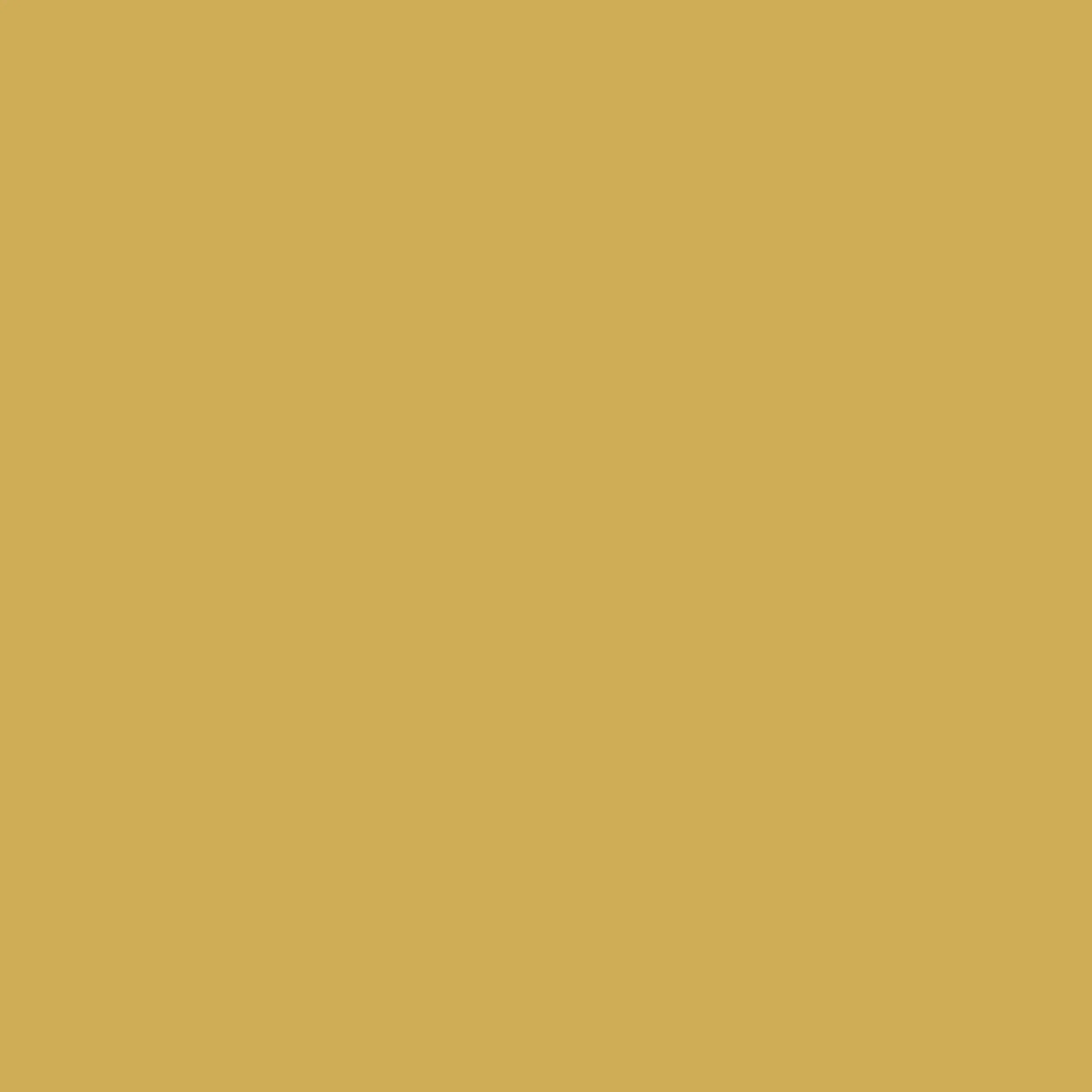 Colourtrend French Mustard