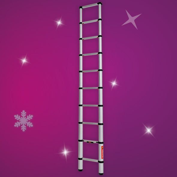 Telesteps 3m Telescopic Ladder