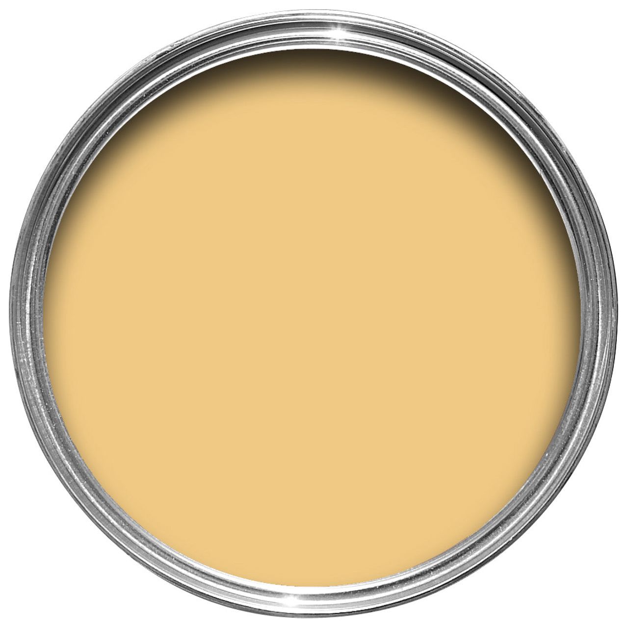 Farrow & Ball Yellow Ground Paint 218