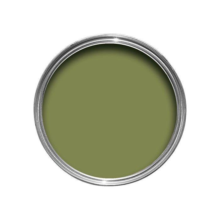 Farrow & Ball Sap Green Paint W56