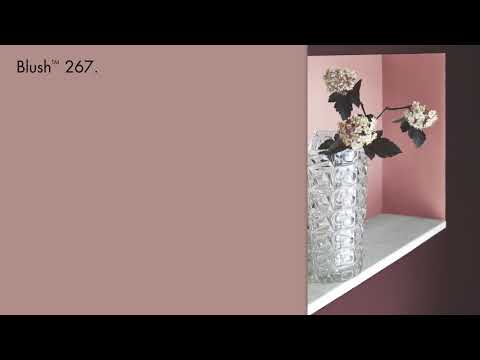 Little Greene Blush Paint 267