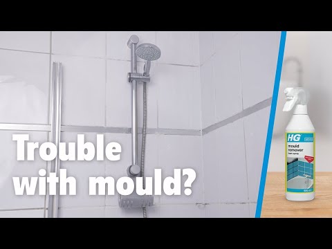 HG Mould Spray - 500ml