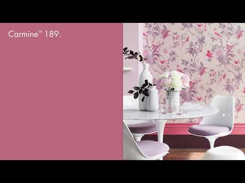 Little Greene Carmine Paint 189