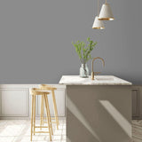 Little Greene Mid Lead Colour Paint 114