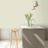 Little Greene Mirror Paint 219